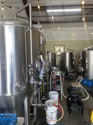 Bluebonnet Beer Company by null