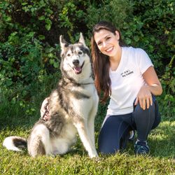 Paws All In Dog Training