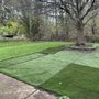 Photo of Gonzalez Lawn Care And Landscaping