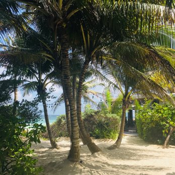 Hotel La Zebra - Hotels Near Me - Tulum, ROO