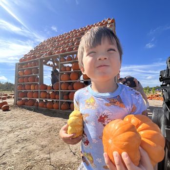 Sweet Eats Adventure Farm - Attraction Farms Near Me - Georgetown, Texas