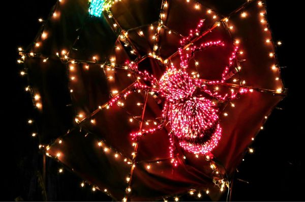 Garden d’Lights by null