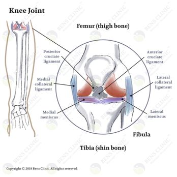 Bens Clinic - Bens Clinic-Massage/Acupuncture-Knee Joint - Massage Therapy Near Me - Halifax, Nova Scotia