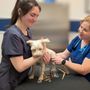 Photo of Floyd Harbor Animal Hospital