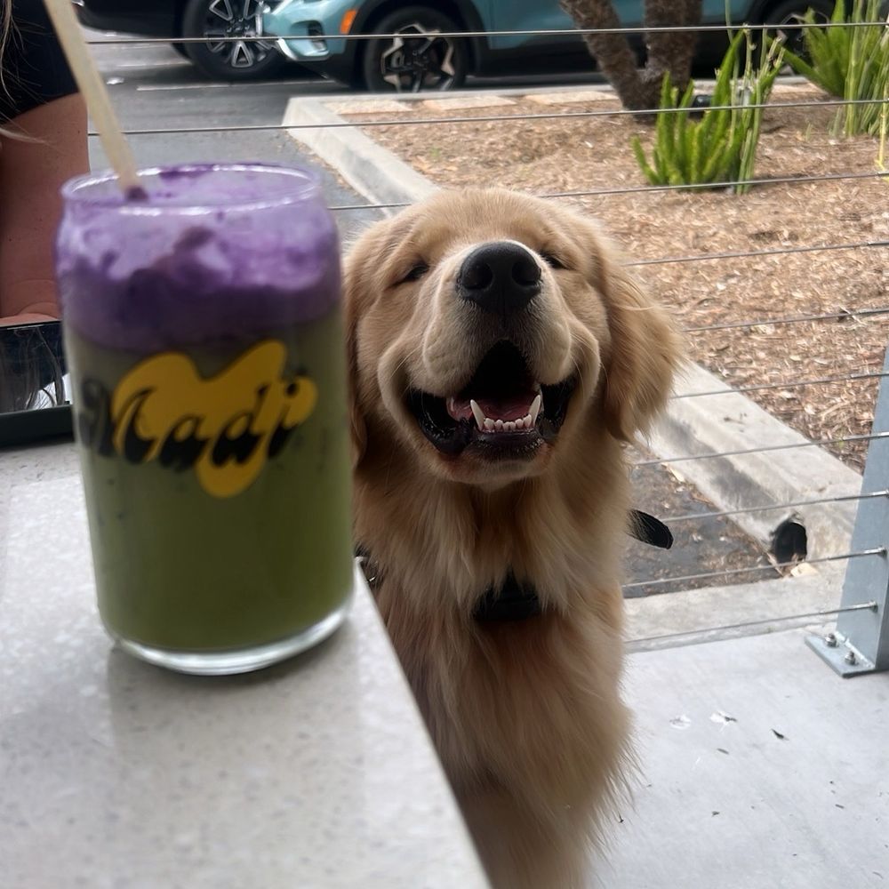 Madi - Ube Matcha - Breakfast & Brunch Near Me - San Diego, California Madi - Ube Matcha - Breakfast & Brunch Near Me - San Diego, California