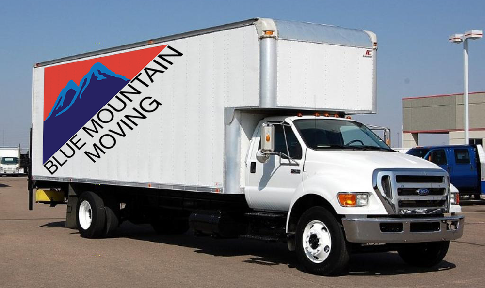 BLUE MOUNTAIN GROUP INC