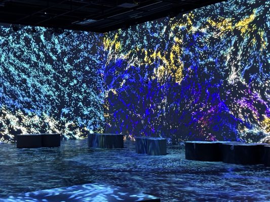 OASIS immersion by null