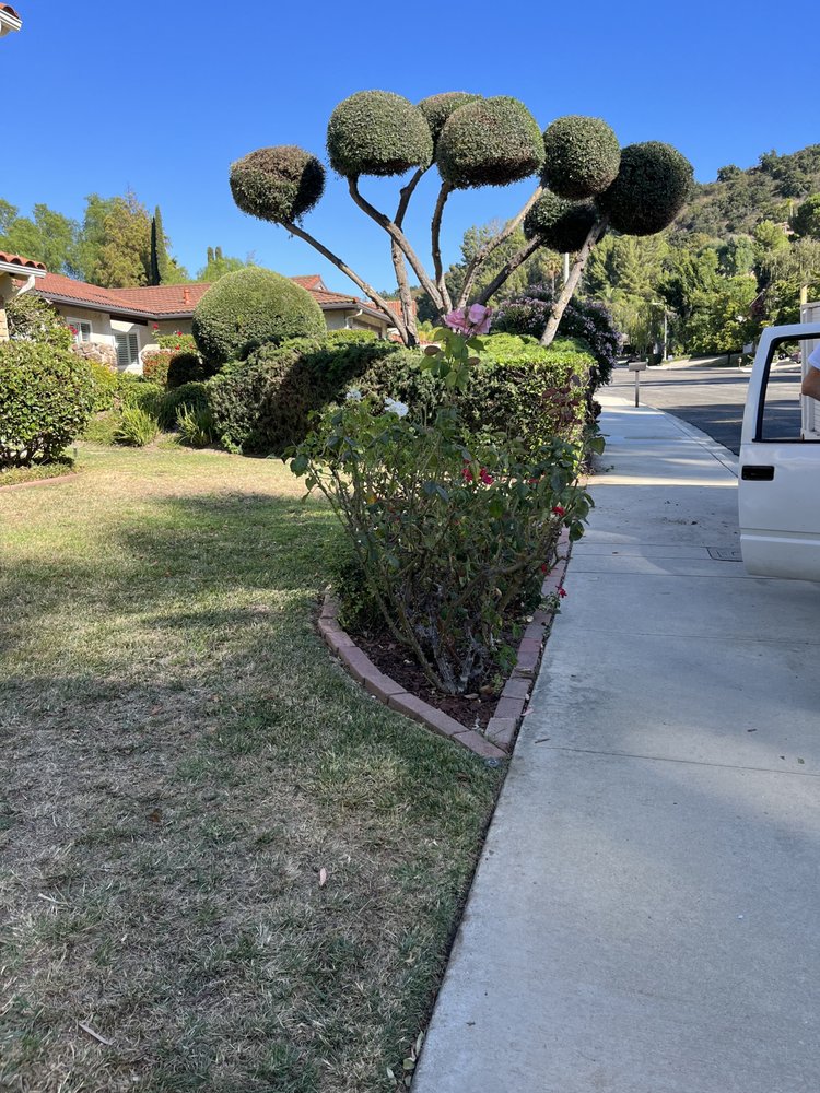 MGL LANDSCAPING Updated September 2024 88 Photos & 10 Reviews