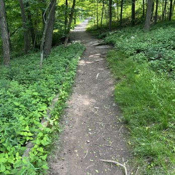 Dinosaur Footprints - The path down to the site - Parks Near Me - Holyoke, Massachusetts