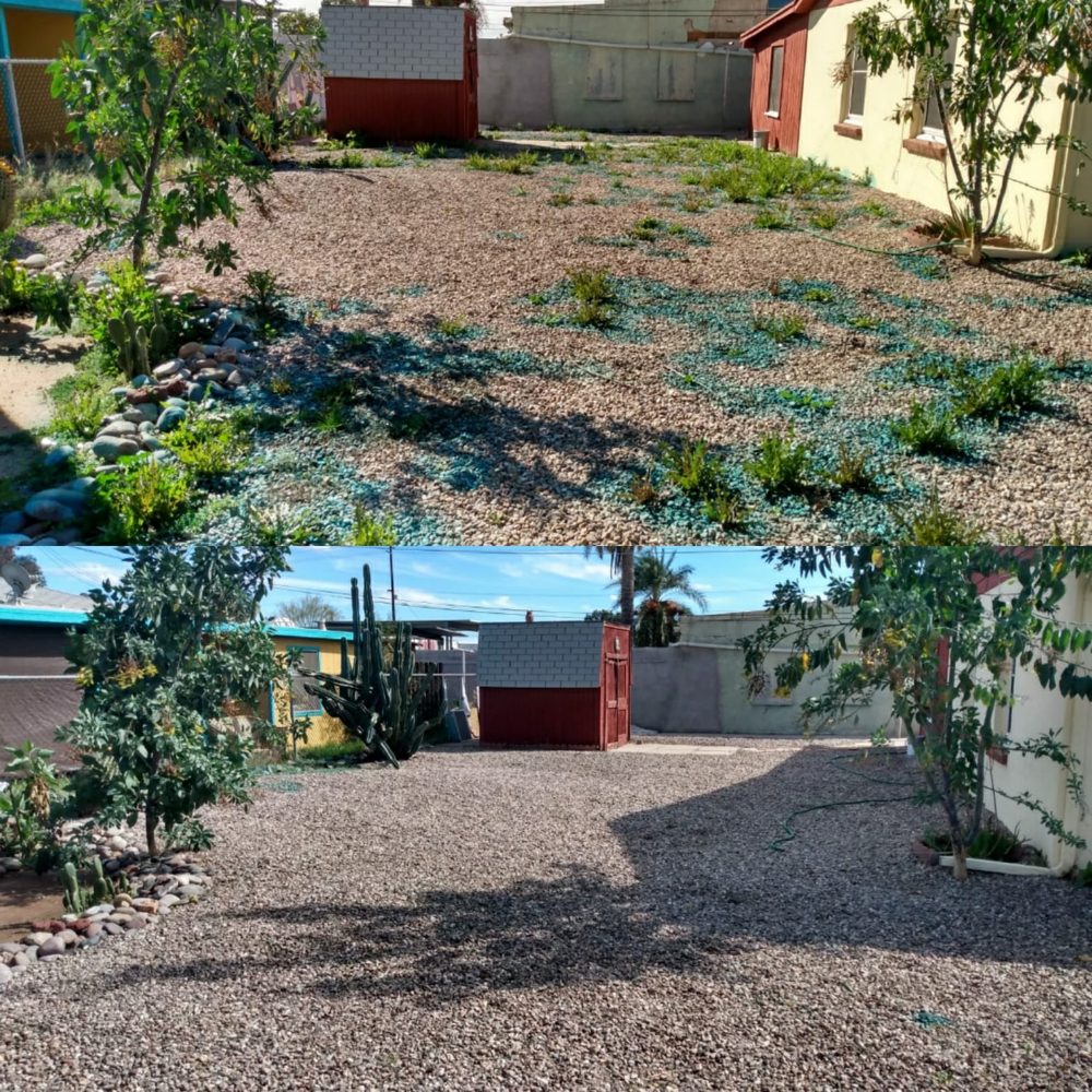 My Tucson Landscaping - tree service in Tucson, AZ