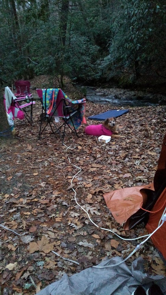 APPALACHIAN CAMPGROUND Updated June 2024 17 Photos 1504 Moody