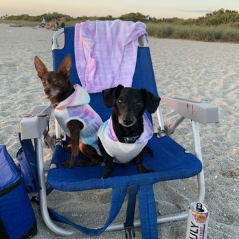 Brohard Paw Park & Beach - Dog Parks Near Me - Venice, Florida