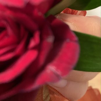 Zuzu's Petals - This is from today - Florists Near Me - Brooklyn, New York Zuzu's Petals - This is from today - Florists Near Me - Brooklyn, New York