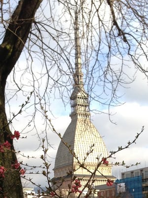 Mole Antonelliana by null