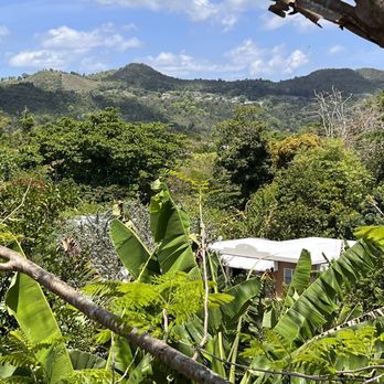 K-Feína - The view from the porch - Puerto Rican Near Me - Manati, Puerto Rico K-Feína - The view from the porch - Puerto Rican Near Me - Manati, Puerto Rico