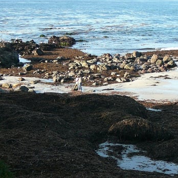 Carmel Point - Local Flavor Near Me - Carmel Point, California Carmel Point - Local Flavor Near Me - Carmel Point, California