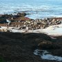 Photo of Carmel Point
