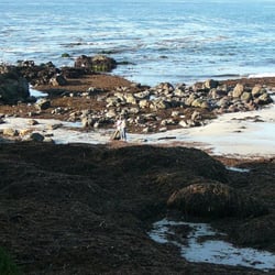 Carmel Point