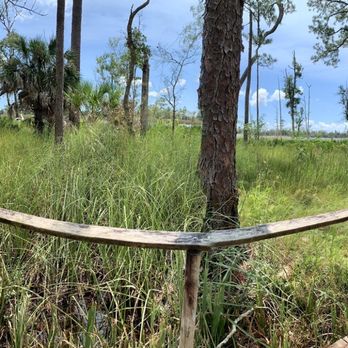 Ochlockonee River State Park - Enjoying the bridge and view with Husband. - Parks Near Me - Sopchoppy, Florida