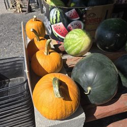 Skinner Produce