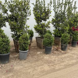 HC Nursery