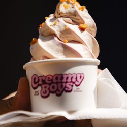 Creamy Boys Ice Cream Trucks and Catering