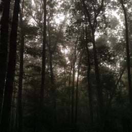 Foggy morning at the campground. Foggy morning at the campground.
