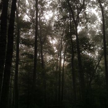 Breaks Interstate Park - Foggy morning at the campground. - Parks Near Me - Breaks, Virginia Breaks Interstate Park - Foggy morning at the campground. - Parks Near Me - Breaks, Virginia