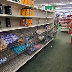 Dollar Tree - Rows and rows of mostly empty shelves throughout the store.