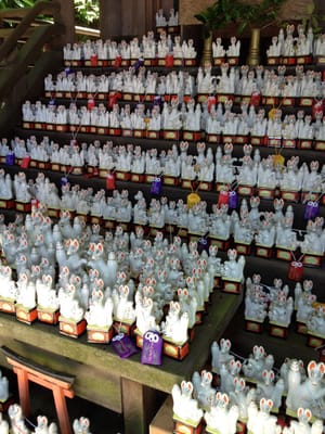 Sasuke Inari Shrine by null