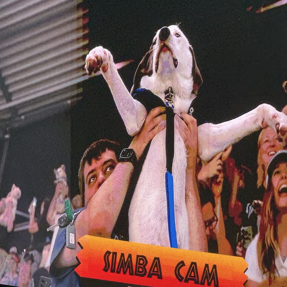 T-Mobile Park - Pet friendly!! - Stadiums & Arenas Near Me - Seattle, Washington