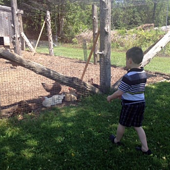 Shakespeare's Garden - Chicken coop out back (with a little bunny too). - Landscape Architects or Designers Near Me - Brookfield, Connecticut