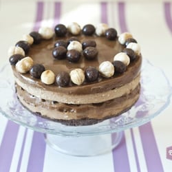 Le Bontique - Torta Gelato Nocciola Gentile Piemonte e Cioccolato Domori