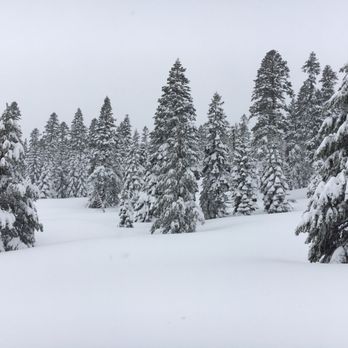 Cold stream Adventures - IES of our guided tour - Tours Near Me - Truckee, California Cold stream Adventures - IES of our guided tour - Tours Near Me - Truckee, California