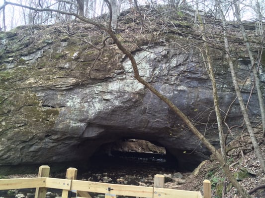 Rock Bridge Memorial State Park by null