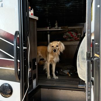 Blue Compass RV - Sarasota - RV Dealers Near Me - Sarasota, Florida Blue Compass RV - Sarasota - RV Dealers Near Me - Sarasota, Florida