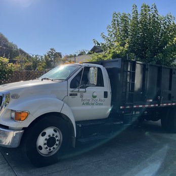 Better Than Real Artificial Grass - Artificial Turf Near Me - San Rafael, California