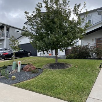 Hector Lawn Services - he front yard of a home - Pressure Washers Near Me Hector Lawn Services - he front yard of a home - Pressure Washers Near Me