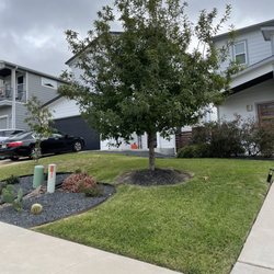 Hector Lawn Services 