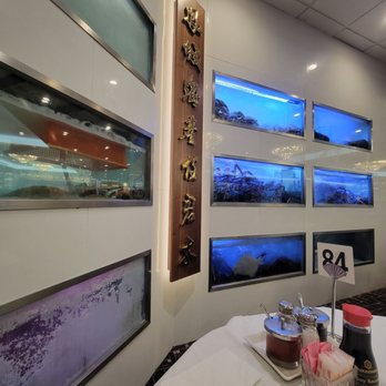 Fung's Kitchen - Dim Sum Near Me - Houston, Texas