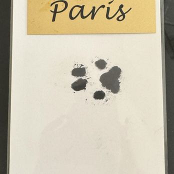 Small Paws Cremations - Pet Cremation Services Near Me - Los Angeles, California Small Paws Cremations - Pet Cremation Services Near Me - Los Angeles, California