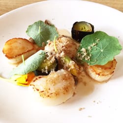 Circa - Hervey Bay Scallops with Leek and Black Garlic.