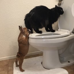 Besties! Besties!