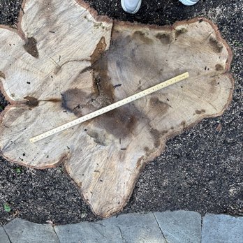 La's Quality Tree Service - Tree Services Near Me - Newark, Delaware La's Quality Tree Service - Tree Services Near Me - Newark, Delaware