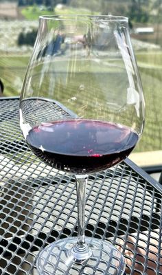 Willamette Valley Vineyards by null