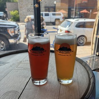 Blackrocks Brewery - Razzle Rabbits & Honey Lav - Breweries Near Me - Marquette, Michigan
