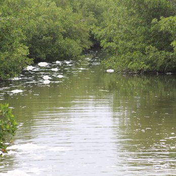 Bear Point Sanctuary - Fishing Near Me - Fort Pierce, Florida