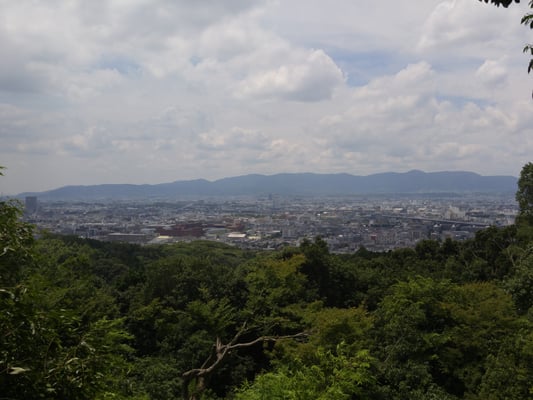 Senbon Torii (Thousand Torii Gates) by null