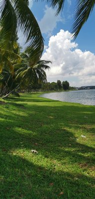 Kallang Riverside Park by null