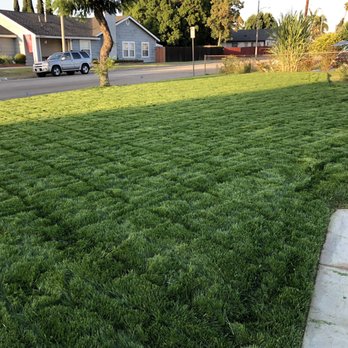 Arturos Landscaping - After photo of our brand new sod finally being cut after 3 and a half weeks. It got way out of hand but Arturo took care of it for us. - Landscaping Near Me Arturos Landscaping - After photo of our brand new sod finally being cut after 3 and a half weeks. It got way out of hand but Arturo took care of it for us. - Landscaping Near Me
